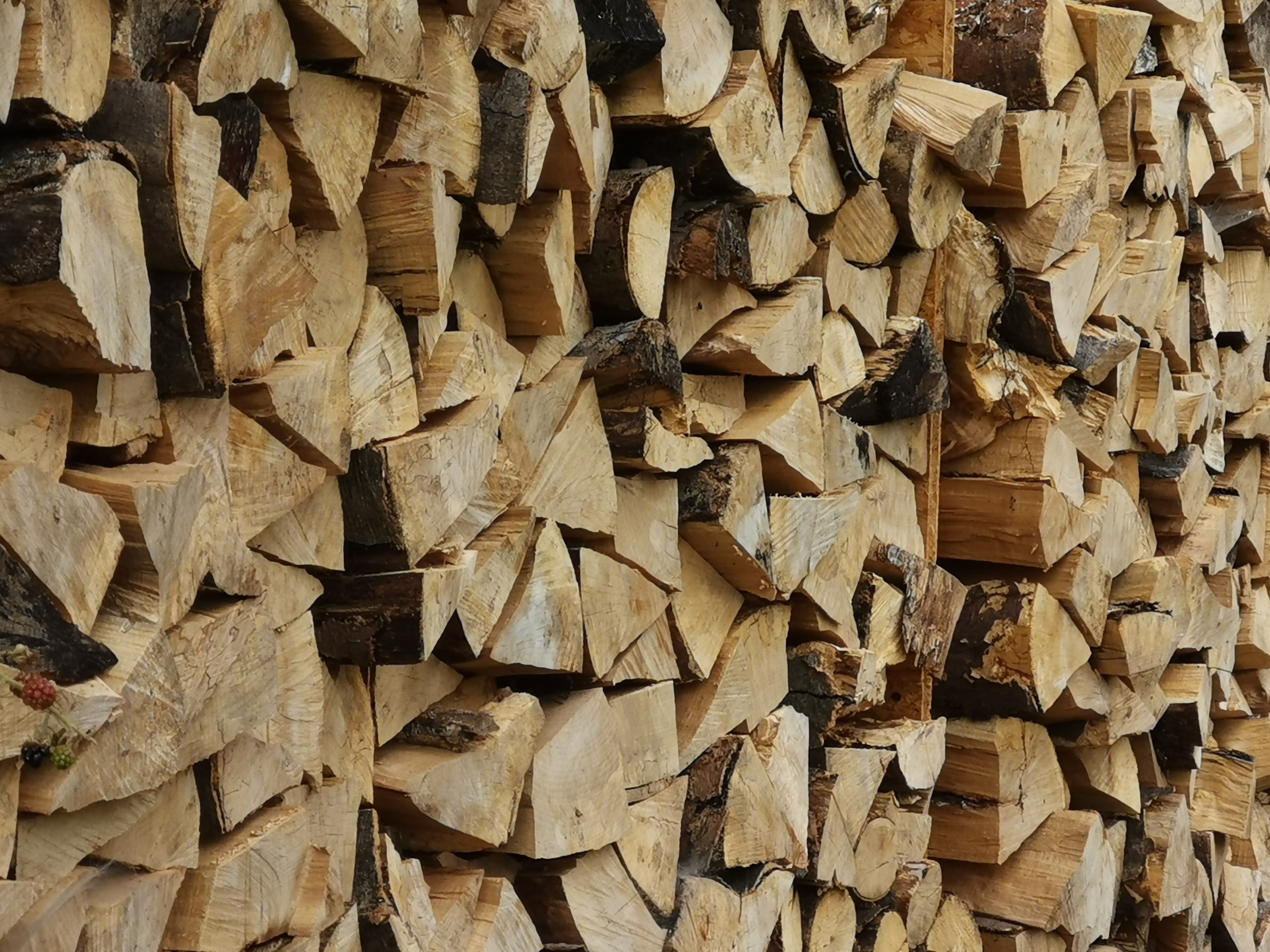 brown wooden log lot during daytime